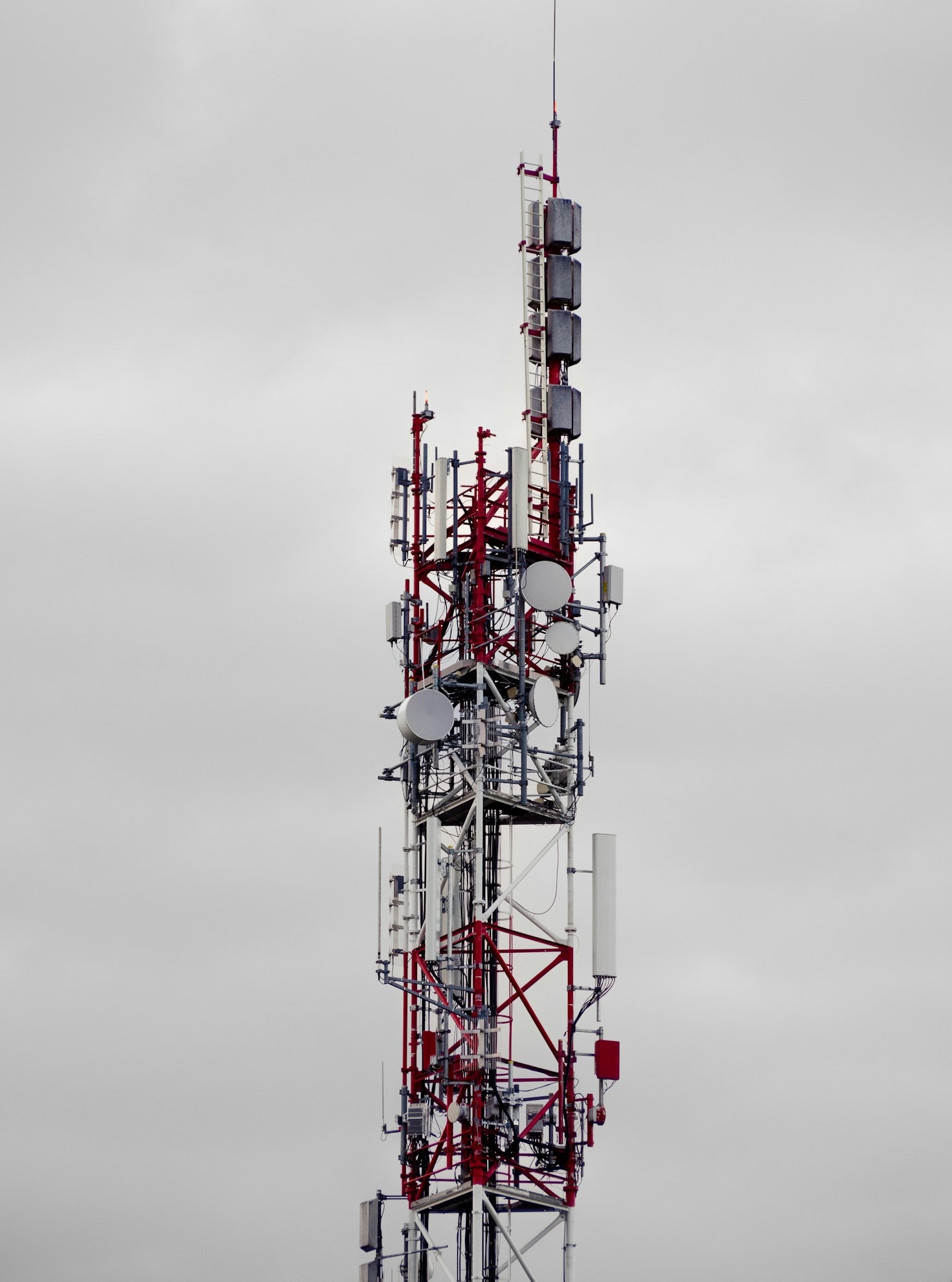 Exploring the Unique World of Radio Networking